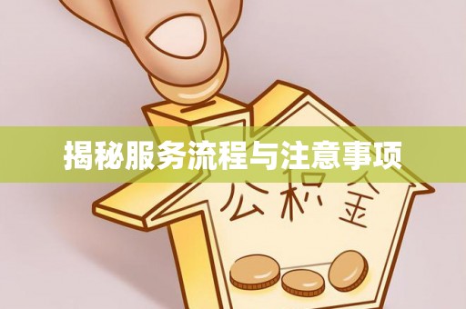 滦南揭秘服务流程与注意事项