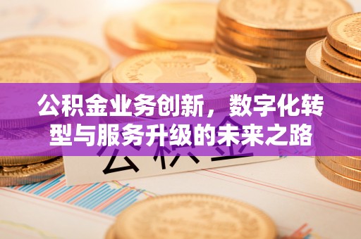 滦南公积金业务创新，数字化转型与服务升级的未来之路