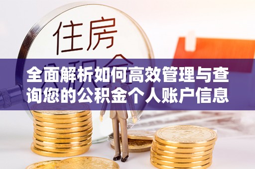滦南全面解析如何高效管理与查询您的公积金个人账户信息